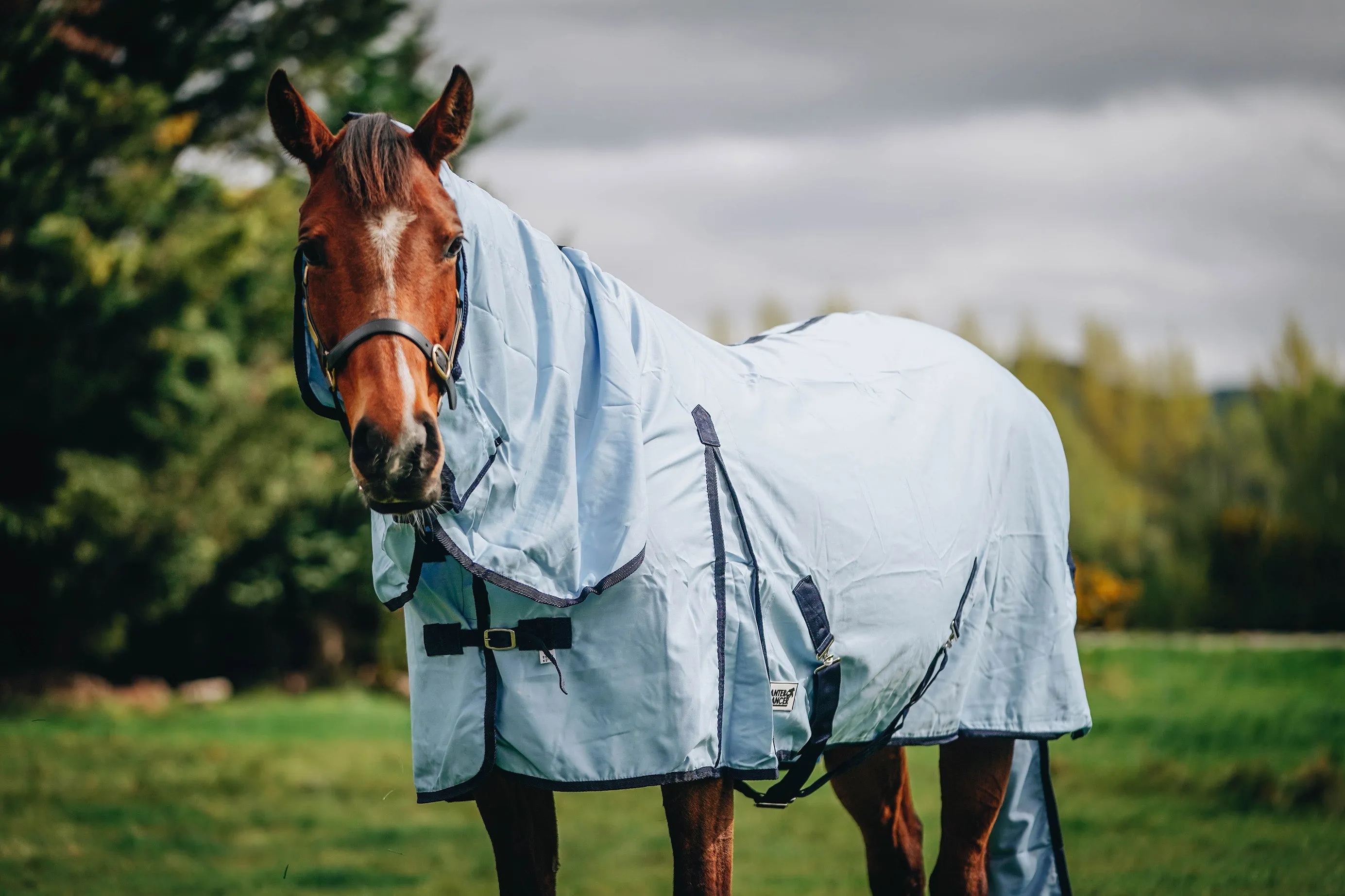 Baby Blue Combo with Tail Bag NZ 4.3