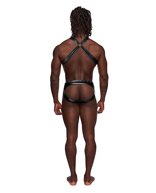 Moonshine Spandex Harness   Brief